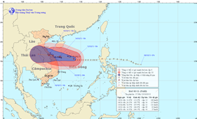 Cần theo dõi chặt chẽ diễn biến của bão số 11 để ứng phó kịp thời