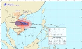 Công tác chỉ đạo đối phó với bão số 11