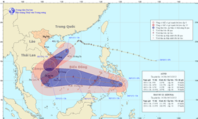 BTTM chỉ đạo ứng phó bão số 12 và cơn bão tiếp theo
