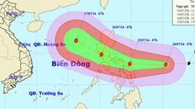 Cảnh sát biển và Kiểm ngư Việt Nam đã có phương án tránh bão