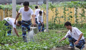 Công tác bảo đảm hậu cần những năm qua - yêu cầu, nhiệm vụ trong tình hình mới