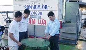 Cụm Trinh sát số 2 bắt giữ tàu vận chuyển 420.000 lít dầu DO không có chứng từ hợp pháp