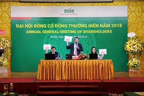 Đại hội đồng cổ đông thường niên MIC năm 2018, đặt kế hoạch Doanh thu 2.500 tỷ đồng, tăng vốn điều lệ lên 1.300 tỷ đồng