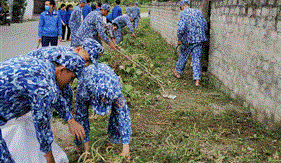 Đoàn Đặc nhiệm PCTP ma túy số 2 tổ chức các hoạt động tình nguyện tham gia bảo vệ môi trường, ứng phó với biến đổi khí hậu