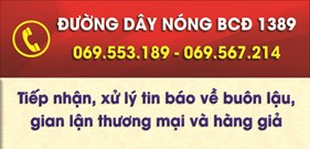 Đường dây nóng tiếp nhận, xử lý tin báo về buôn lậu, GLTM và hàng giả