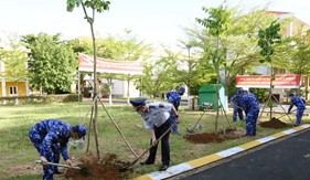 Hưởng ứng phong trào trồng cây "Đời đời nhớ ơn Bác Hồ"