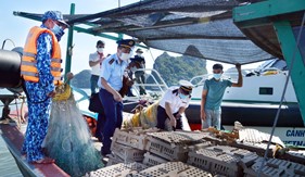 Bộ Tư lệnh Vùng Cảnh sát biển 1 bắt giữ vụ vận chuyển gà giống trái phép trên biển