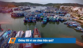 Chống IUU vì sao chưa hiệu quả?