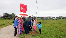 “Đường cây đoàn kết quân dân” ở huyện Nghi Xuân, tỉnh Hà Tĩnh