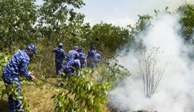 50 cán bộ, chiến sĩ Bộ Tư lệnh Vùng Cảnh sát biển 2 tham gia chữa cháy rừng tại xã Tam Quang