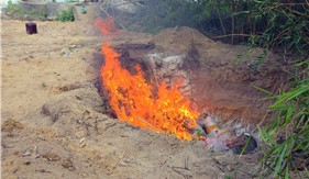 Bộ Tư lệnh Vùng Cảnh sát biển 1 tiêu hủy gần 3 tấn mực khô không rõ nguồn gốc