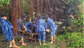Bộ Tư lệnh Vùng Cảnh sát biển 1 giúp dân khắc phục hậu quả bão số 5