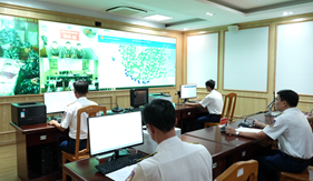 Tự động gắn “thẻ đỏ” cảnh báo