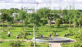 Sức sống xanh nơi cực Nam Tổ quốc