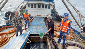 Bắt giữ tàu cá vận chuyển trái phép dầu D.O trên biển