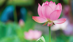 Phát huy phẩm chất “Bộ đội Cụ Hồ” - lấy “xây” để “chống” chủ nghĩa cá nhân ở cán bộ, chiến sĩ Cảnh sát biển Việt Nam