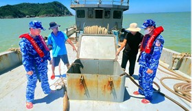 Bộ Tư lệnh Vùng Cảnh sát biển 1 tạm giữ tàu chở 22.000 lít dầu D.O trên vùng biển Hà Tĩnh