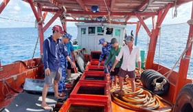 Bắt giữ tàu vận chuyển khoảng 55.000 lít dầu D.O không có giấy tờ hợp pháp trên vùng biển Tây Nam