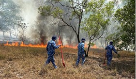 Khống chế thành công vụ cháy rừng phòng hộ tại Quảng Trị