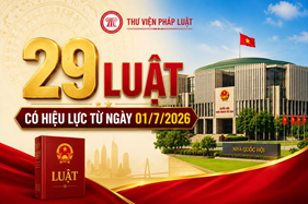 Luật Chuyển giao người đang chấp hành án phạt tù 2025