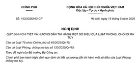 Nghị định 163/2026/NĐ-CP quy định chi tiết và hướng dẫn thi hành một số điều của Luật Phòng, chống ma túy